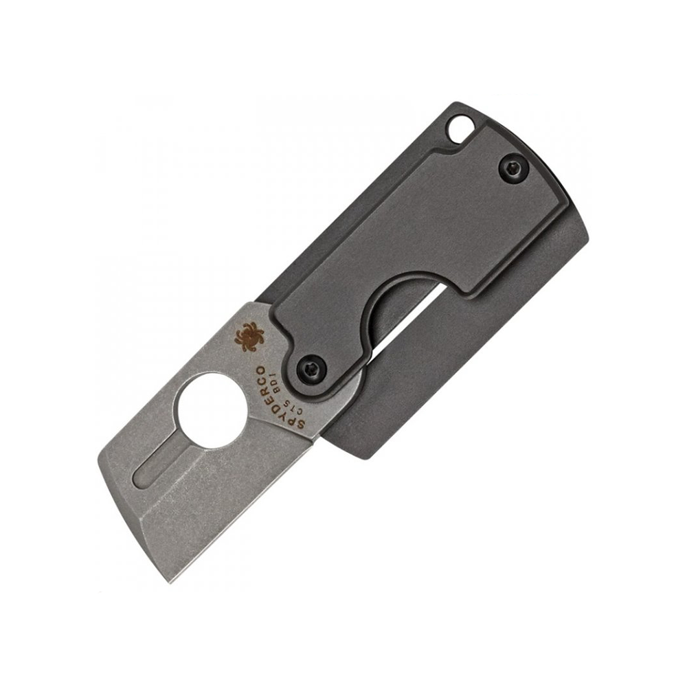 Slip on dog 2024 tag