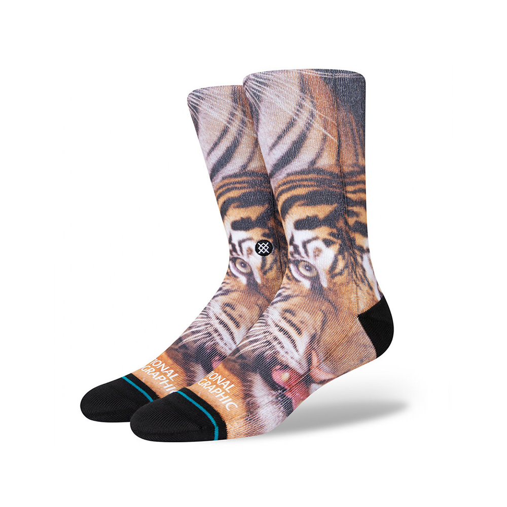 Two Tigers