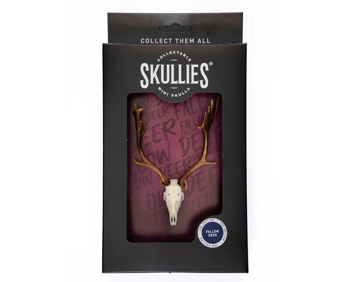 Fallow Deer Skullie