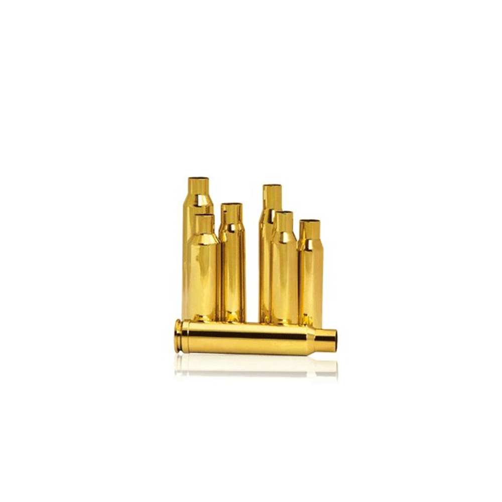 NORMA CASES 30-06 SPRING (50)