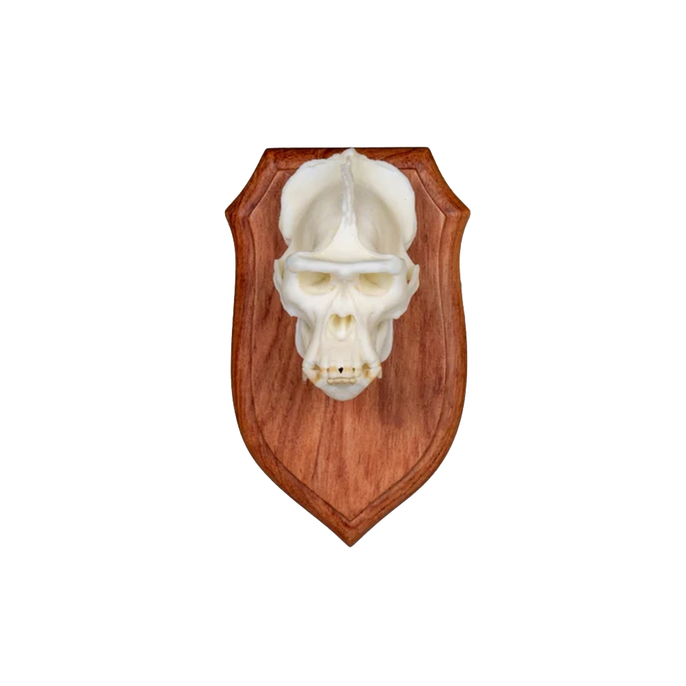 Wooden Display Pedestal