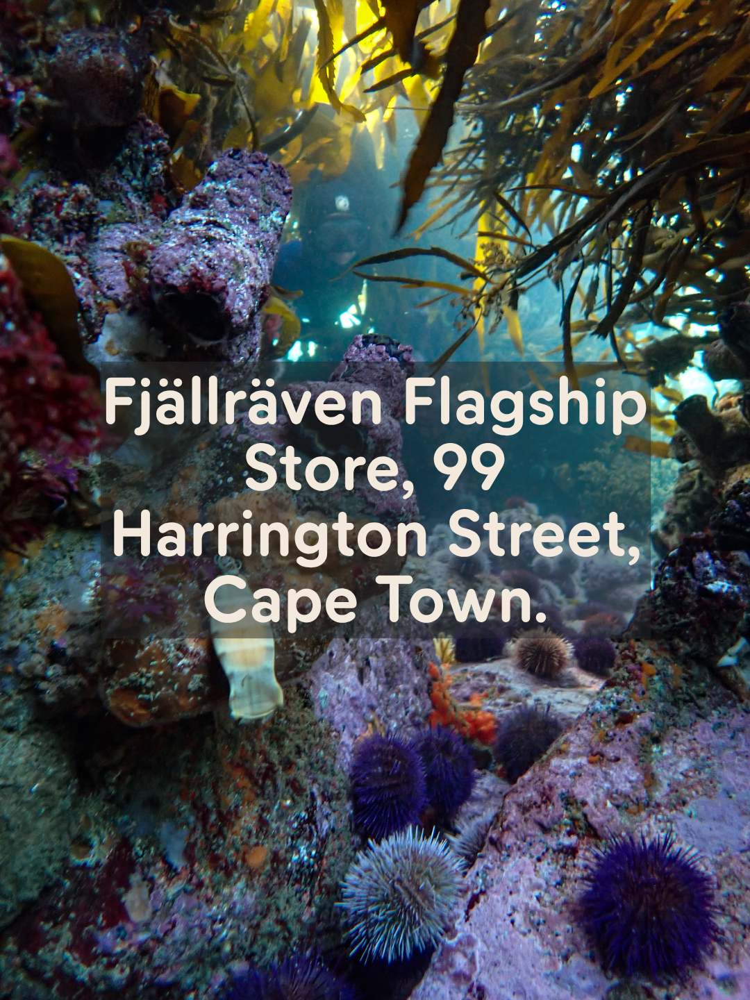 FJÄLLRÄVEN STORYTELLER SERIES EVENING