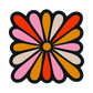 Flower 3-Pack - Lisa Congdon