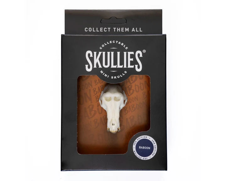 Baboon Skullie