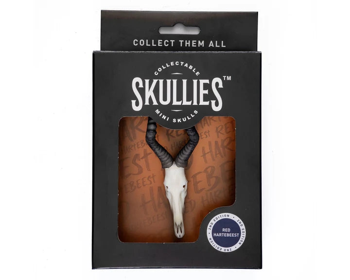 Red Hartebeest Skullie
